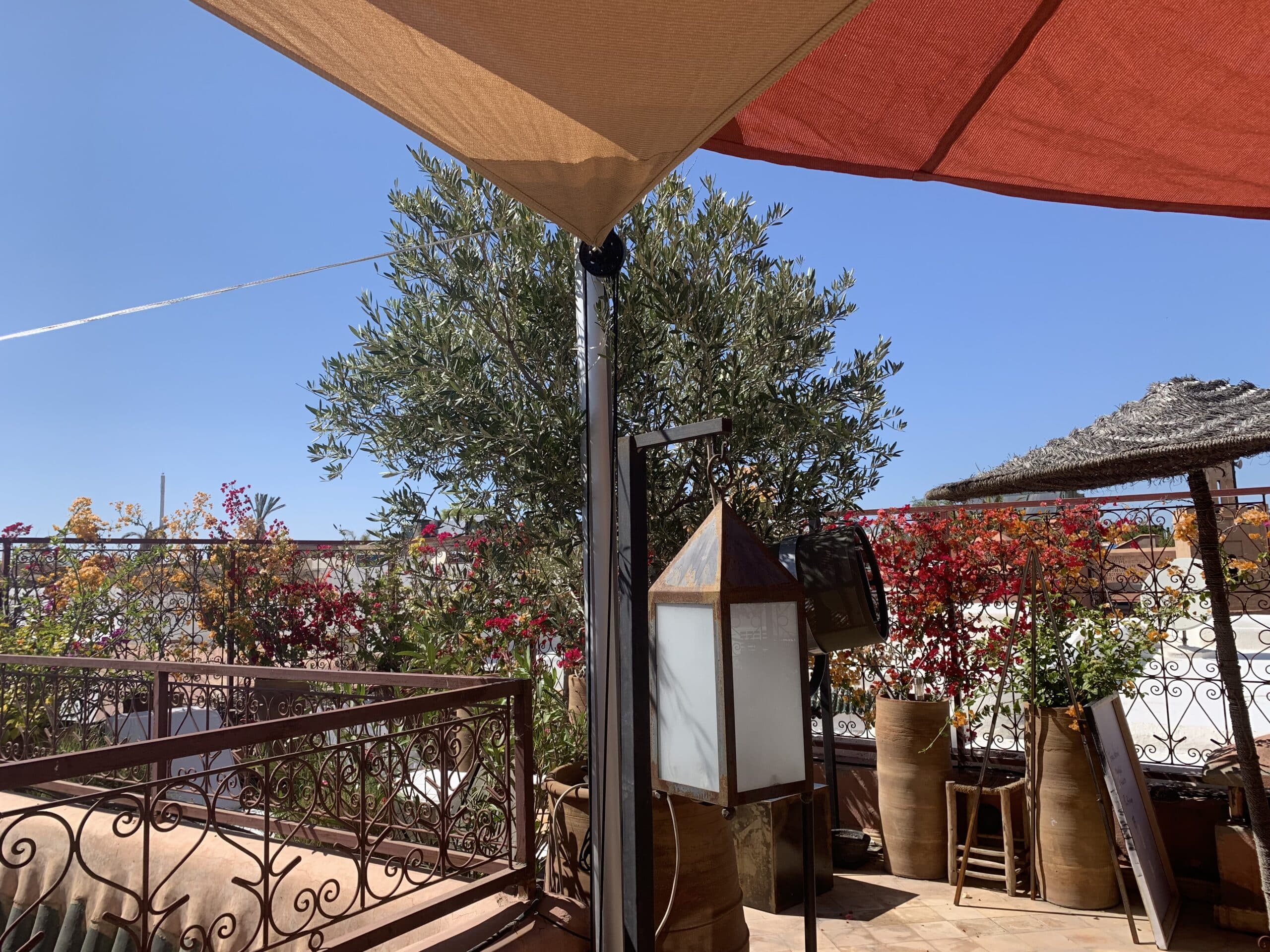 Terrasse ensoleillée sous ciel bleu, avec parasols, olivier verdoyant, bougainvilliers rouges et oranges, lanterne et balustrade en fer forgé.