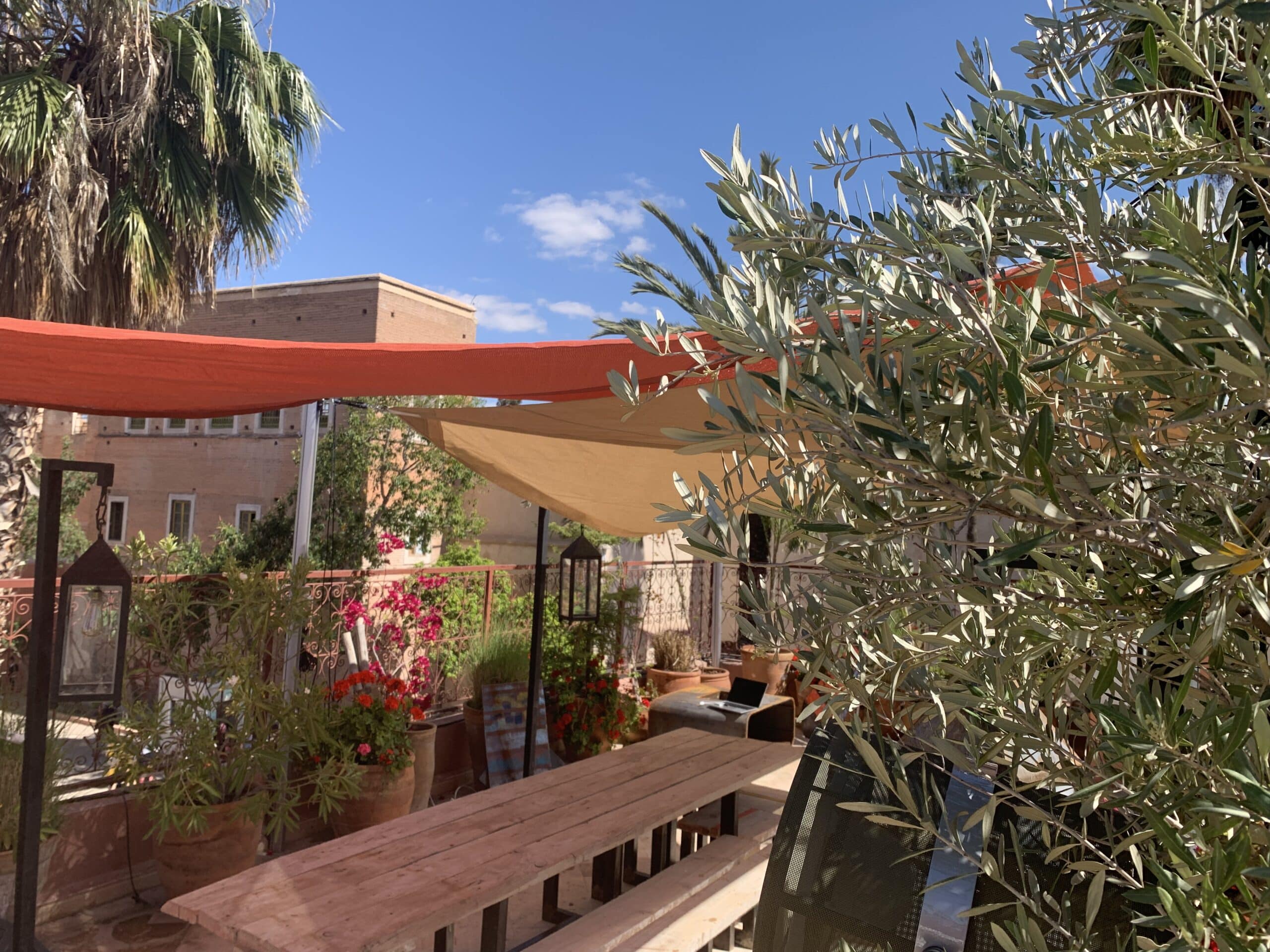 Terrasse extérieure ensoleillée avec table en bois, plantes fleuries, voiles d'ombrage rouge et beige. Olivier luxuriant, ciel bleu, bâtiments et palmiers.