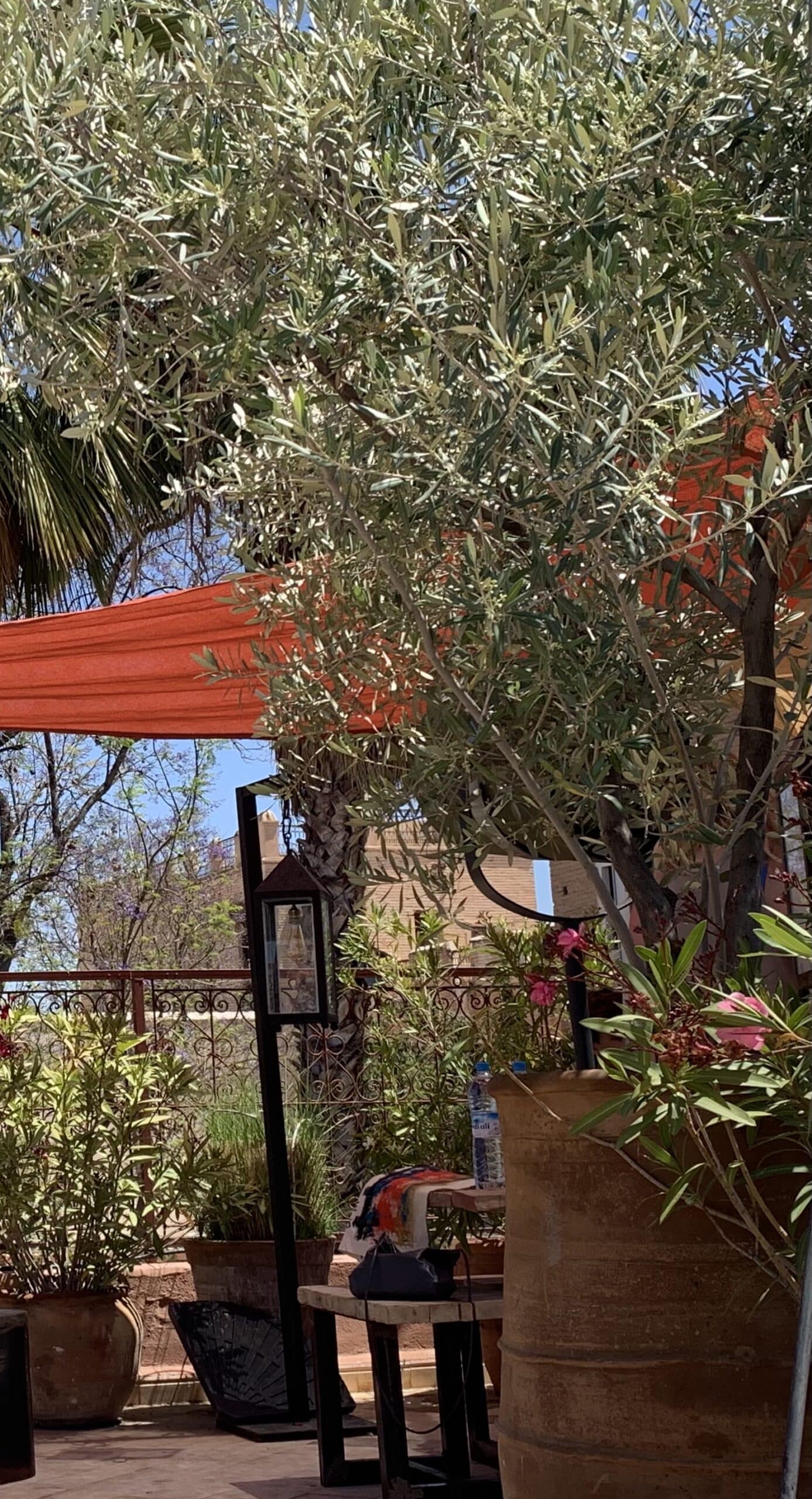 Terrasse ensoleillée avec oliviers, lanterne, plantes et fleurs roses. Tissu orange ombrage un espace extérieur chaleureux avec une table.