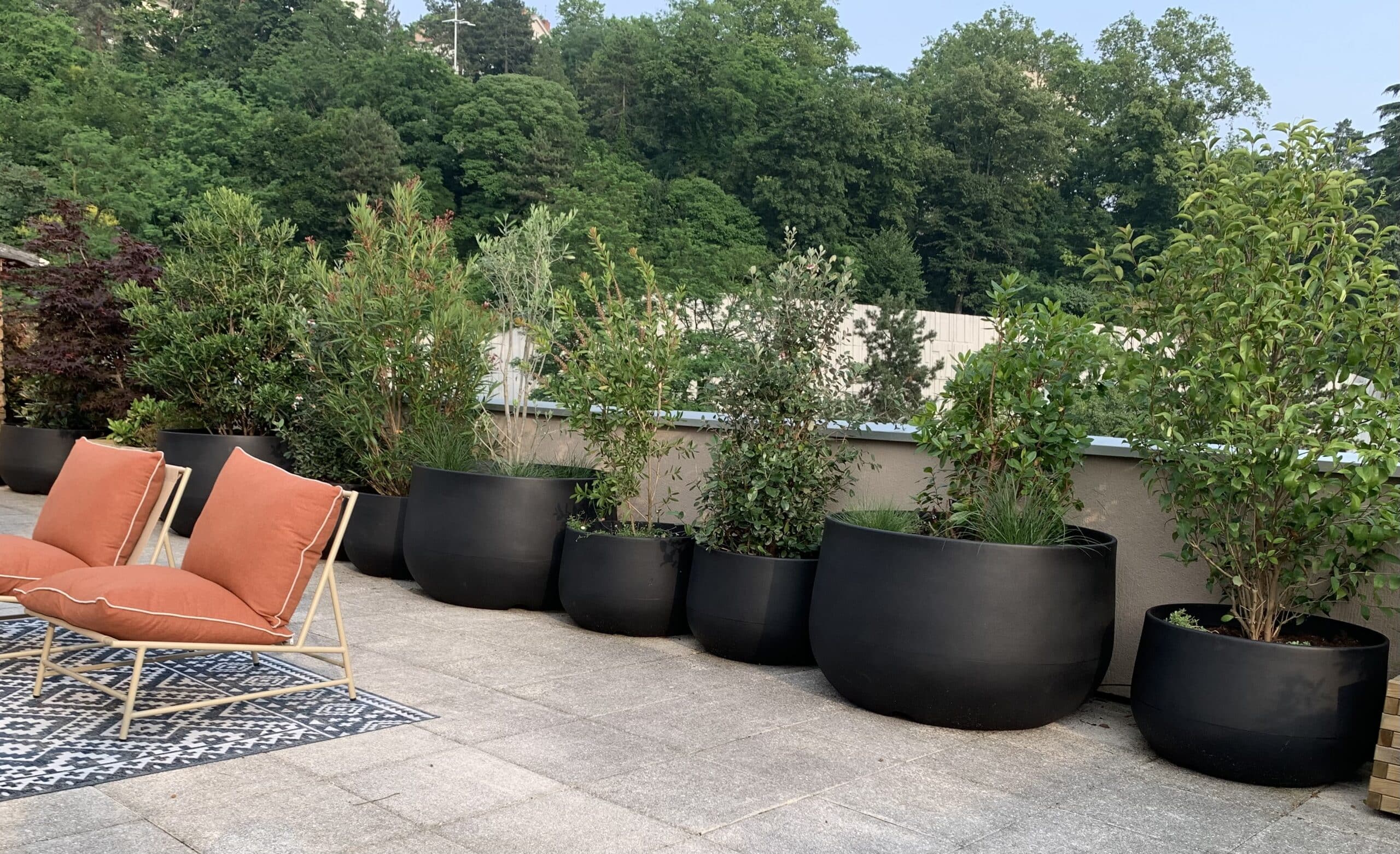 Grande terrasse moderne avec rangée de plantes vertes luxuriantes en pots noirs. Deux fauteuils orange sur un tapis géométrique, fond de forêt dense.