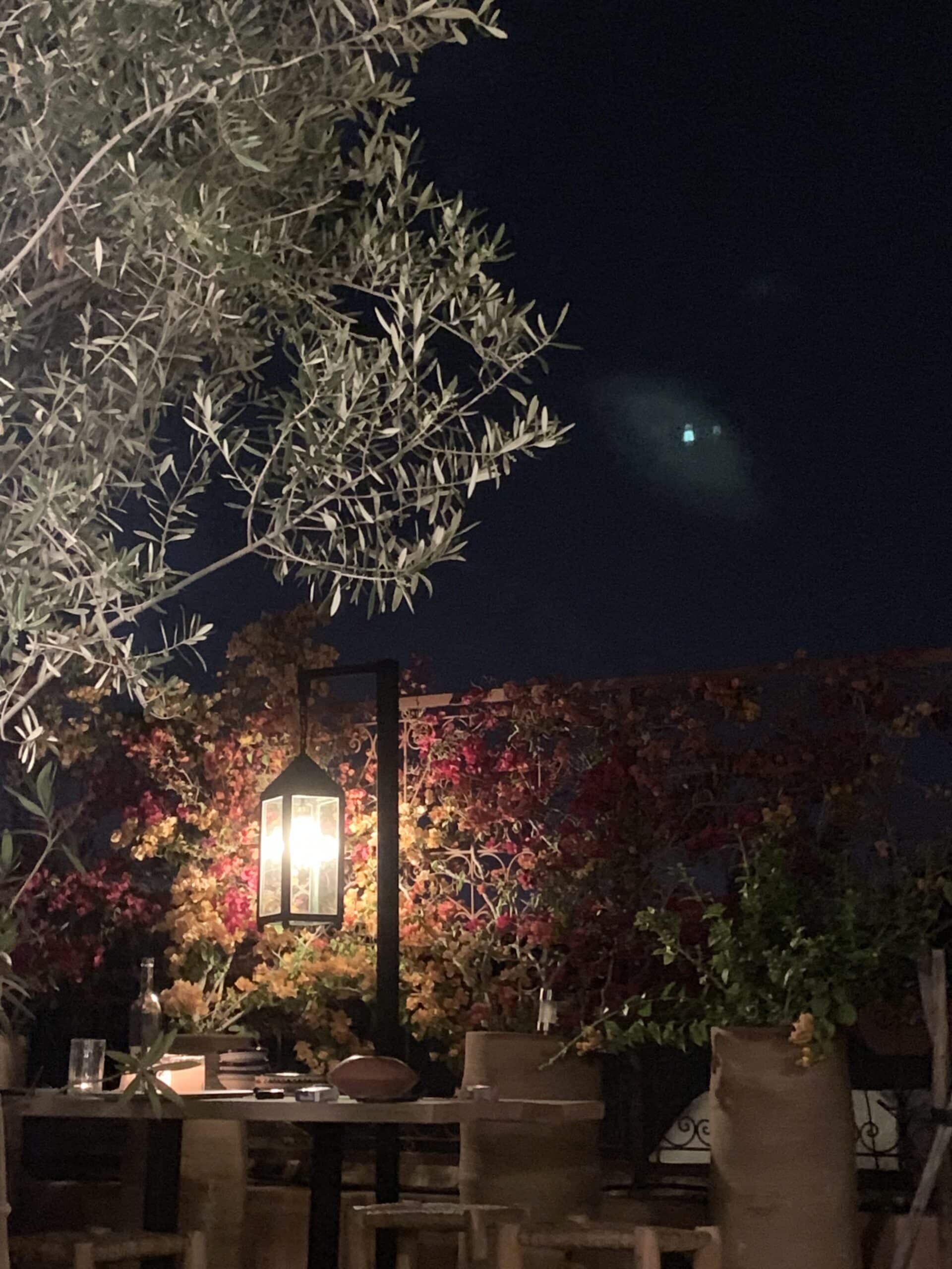 Terrasse nocturne éclairée par une lanterne. Un olivier en premier plan, des bougainvilliers colorés habillent l'arrière-plan sous un ciel sombre.
