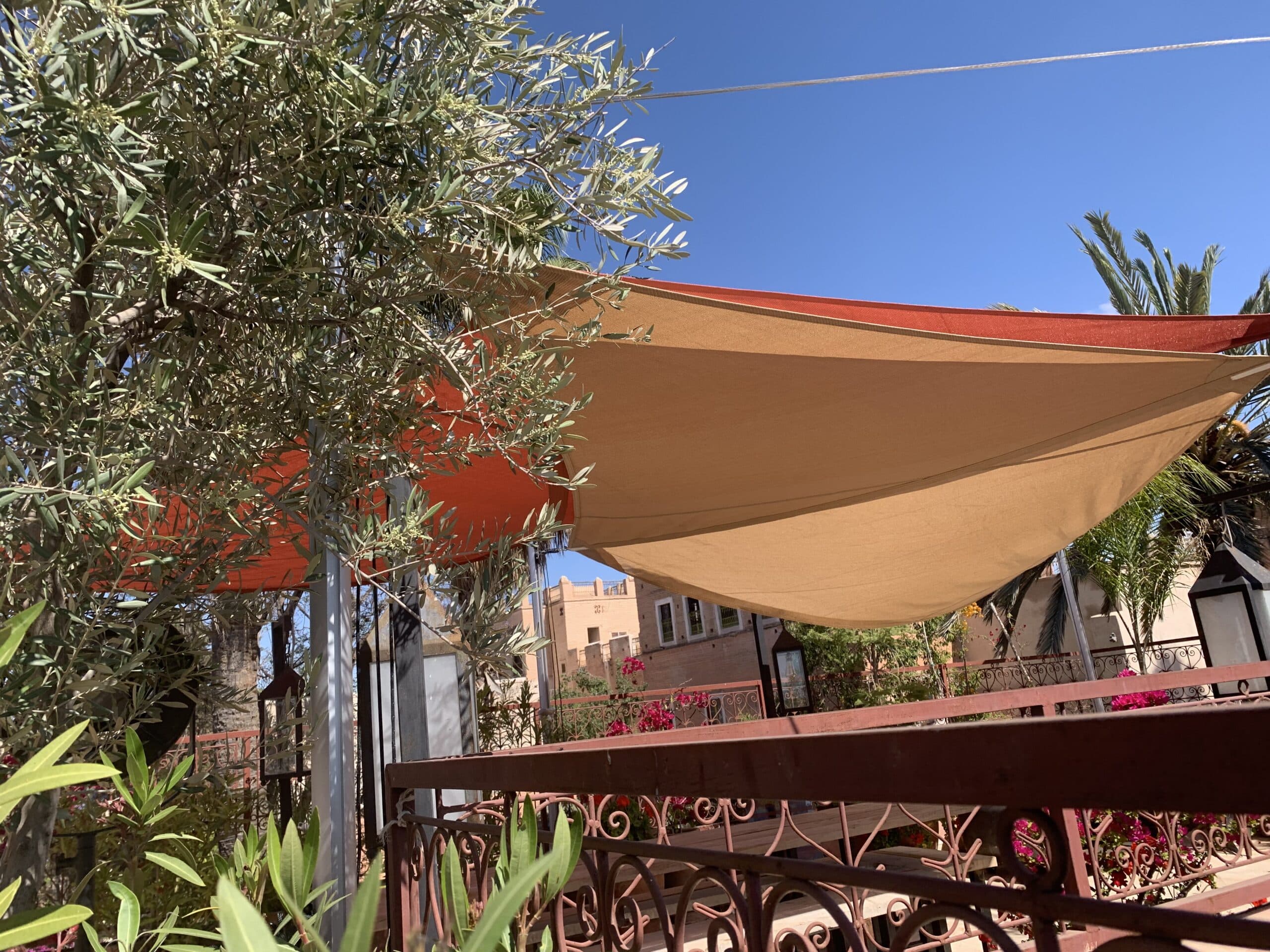 Olivier feuillu avec bourgeons, sous des voiles d'ombrage orange et beige, ciel bleu clair. Terrasse avec balustrade ornée et bâtiment en arrière-plan.