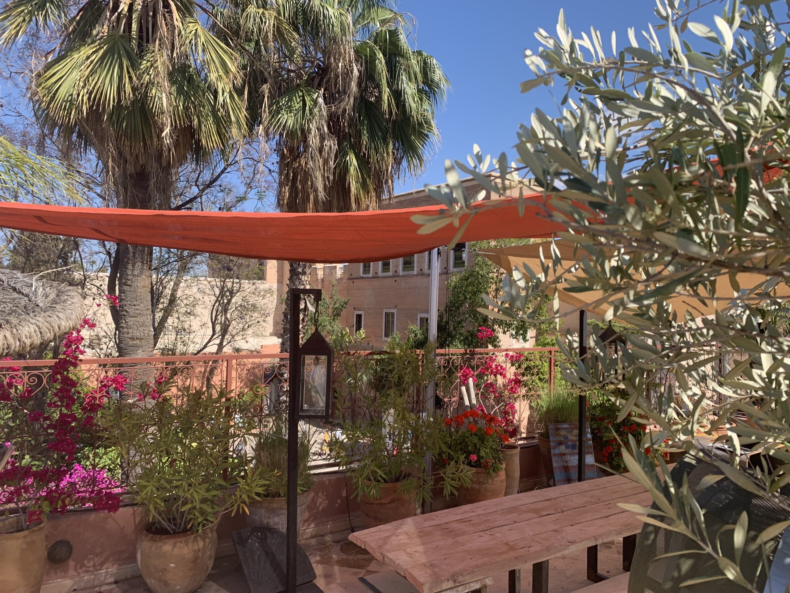 Terrasse ensoleillée avec palmiers, olivier et bougainvilliers roses. Table en bois sous auvents orange, architecture marocaine.