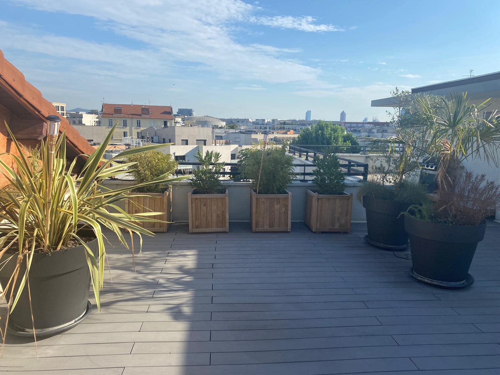 Terrasse sur le toit ensoleillée avec diverses plantes en pots bois et noirs, sol en bois composite gris, et vue sur la ville sous un ciel bleu.