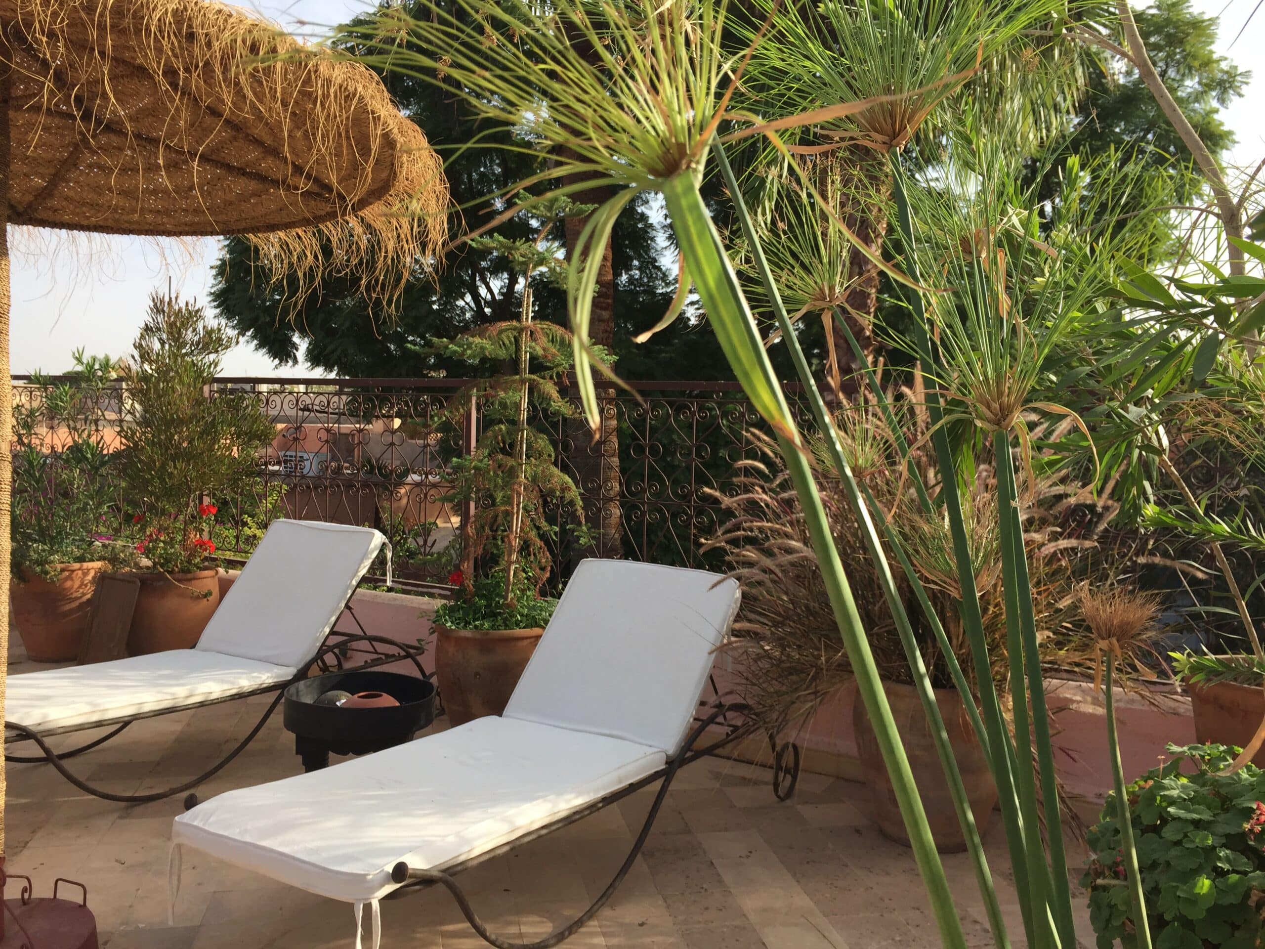 Terrasse ensoleillée avec deux transats blancs, un parasol en paille, des plantes luxuriantes et des fleurs rouges. Ambiance détente.