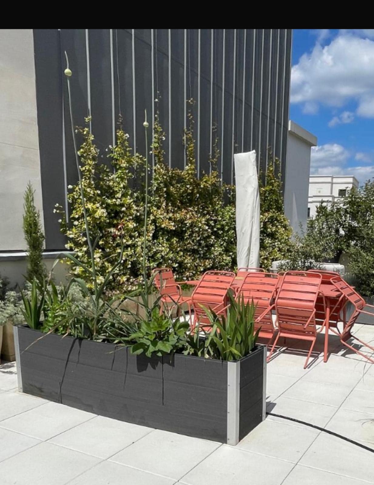 Terrasse de toit avec jardinière foncée, plantes, mobilier extérieur corail et façade de bâtiment couverte de vignes fleuries sous ciel bleu.