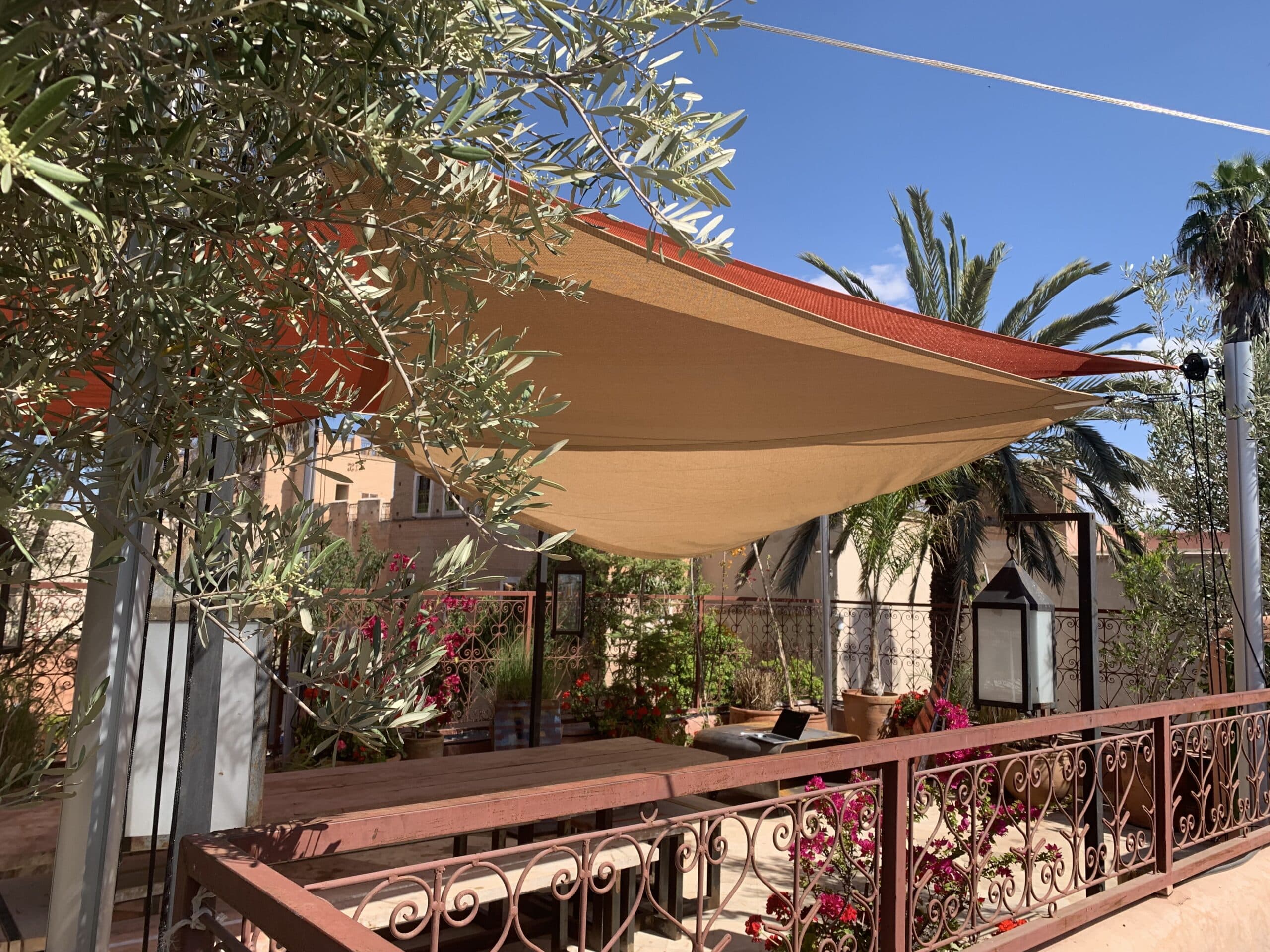 Terrasse de toit ensoleillée avec voiles d'ombrage beige, olivier luxuriant, palmiers. Table en bois, ordinateur, balustrade en fer forgé fleuri.