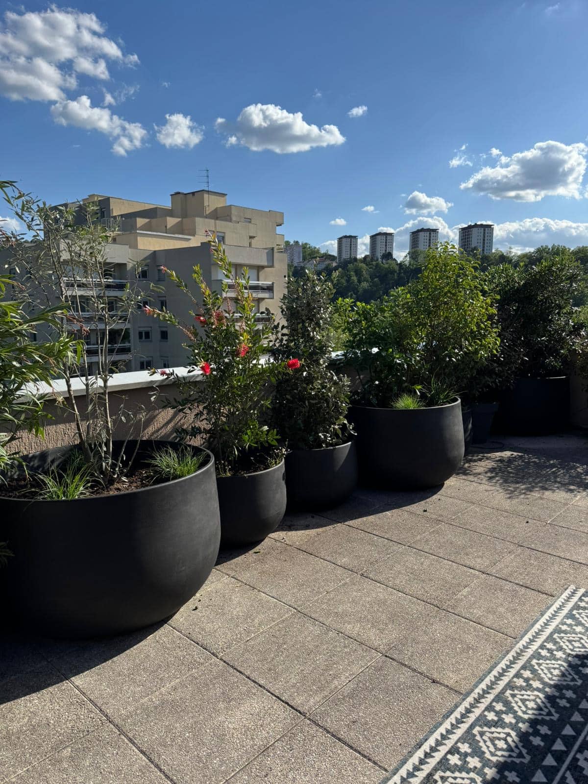 Terrasse de toit ensoleillée avec grandes jardinières noires et plantes vertes fleuries. Vue sur des immeubles urbains sous un ciel bleu nuageux.
