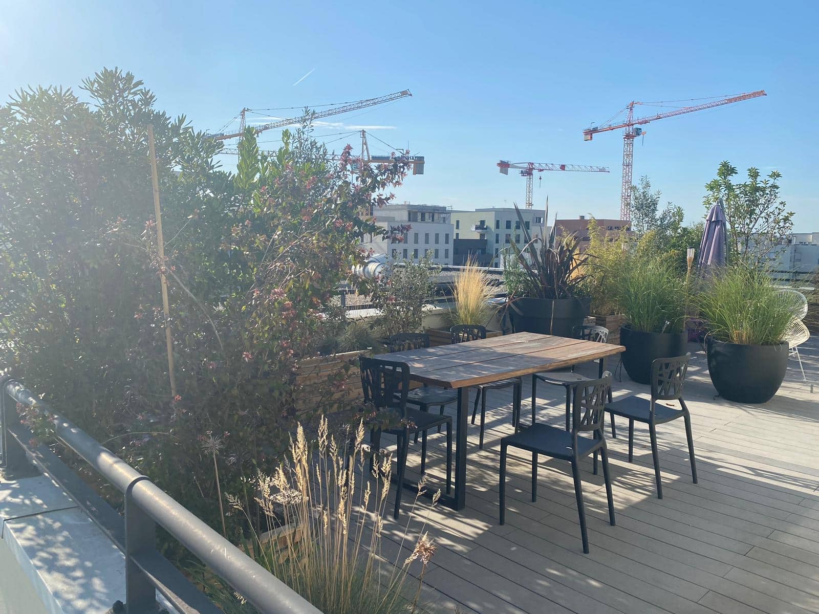 Terrasse de toit ensoleillée avec table en bois, chaises noires, plantes variées, et grues de construction en arrière-plan.