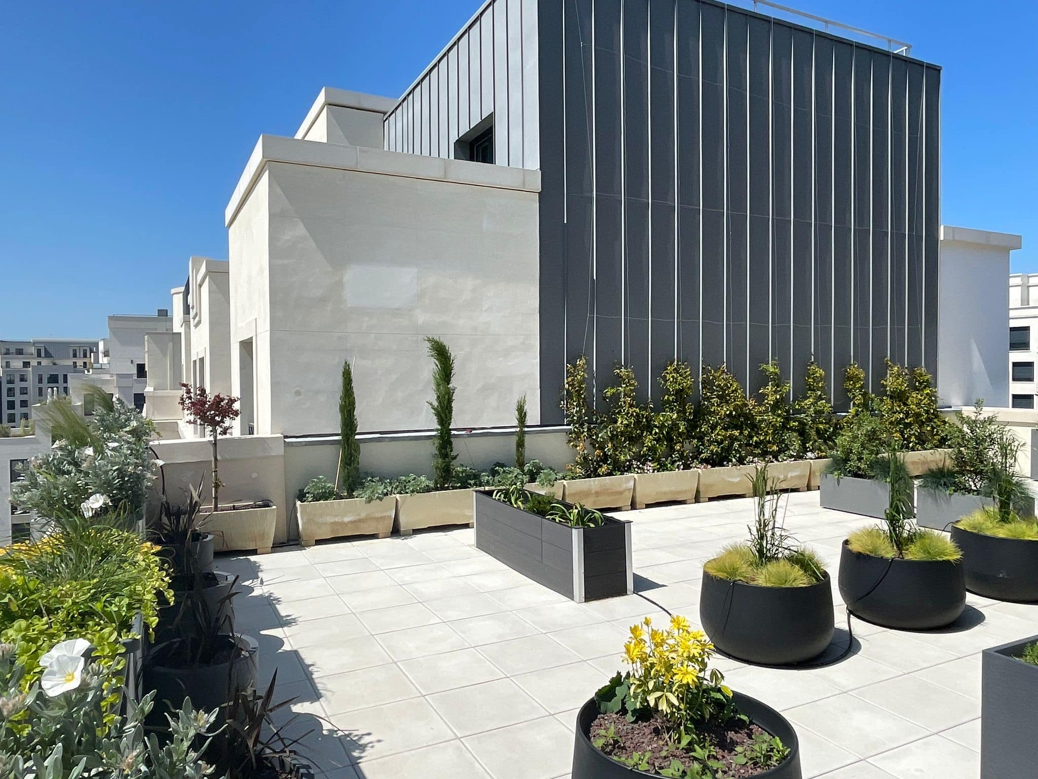 Terrasse de toit moderne ensoleillée avec carrelage clair, bâtiments blancs et gris, et des plantes variées dans des jardinières noires et beiges.