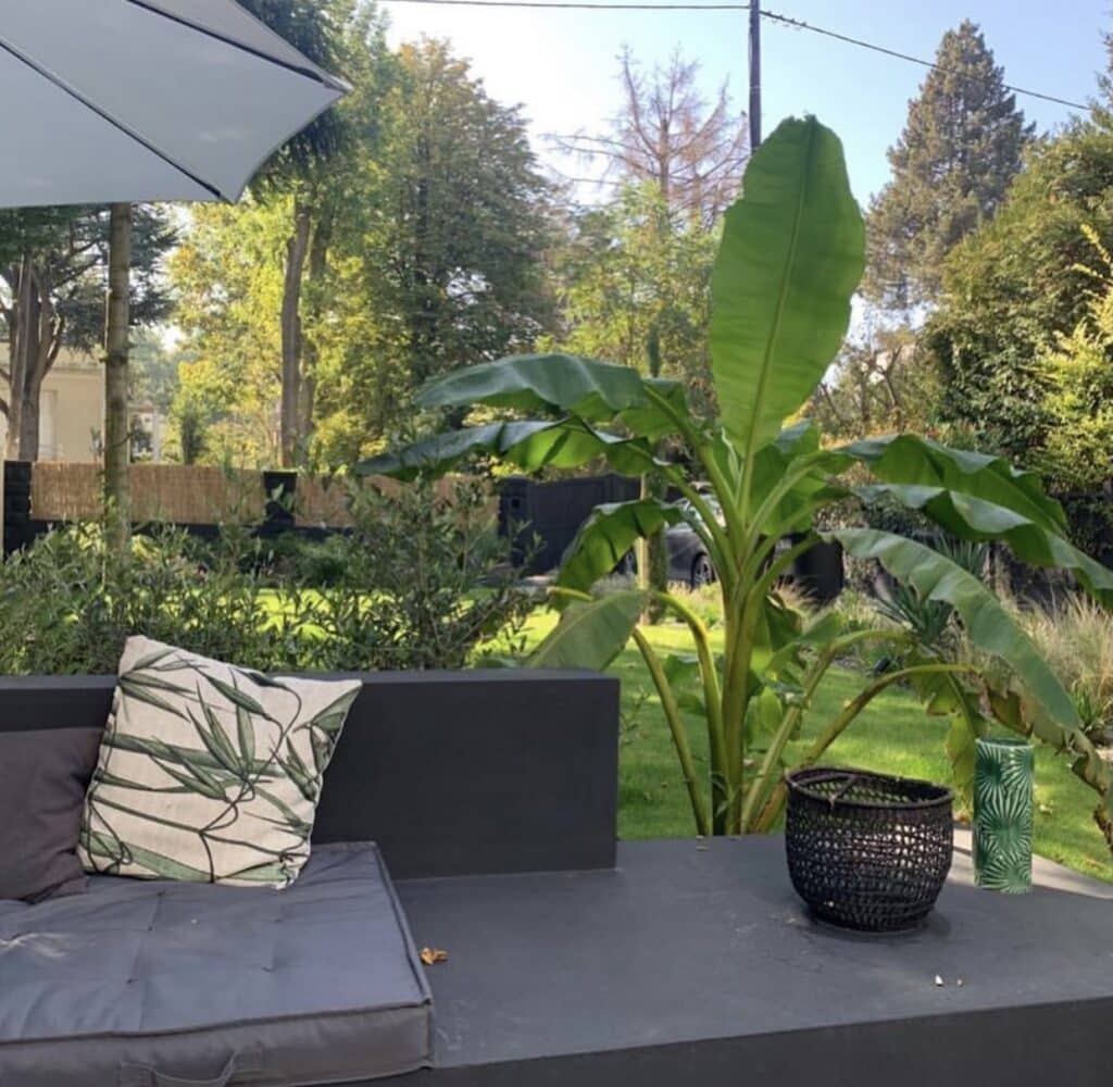 Coin détente extérieur moderne noir avec coussin à motif végétal, grand bananier luxuriant, et mobilier de jardin sous parasol.