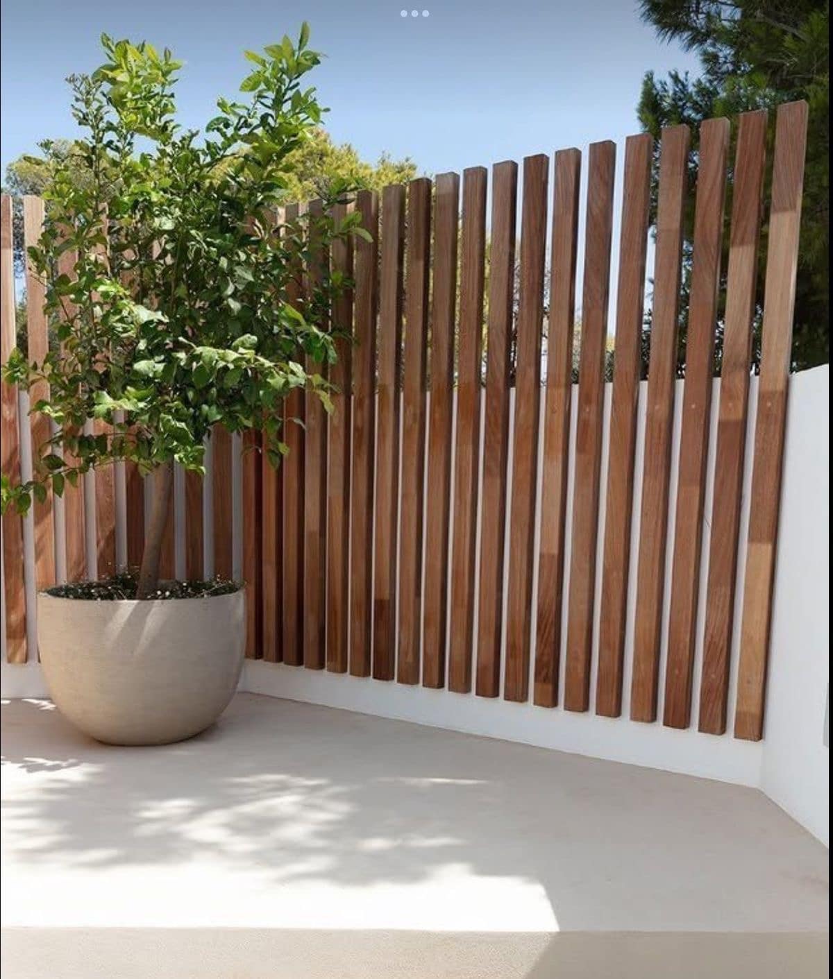 Clôture moderne en lattes de bois verticales brun-rouge, protégeant une terrasse claire avec un grand pot d'arbre vert.