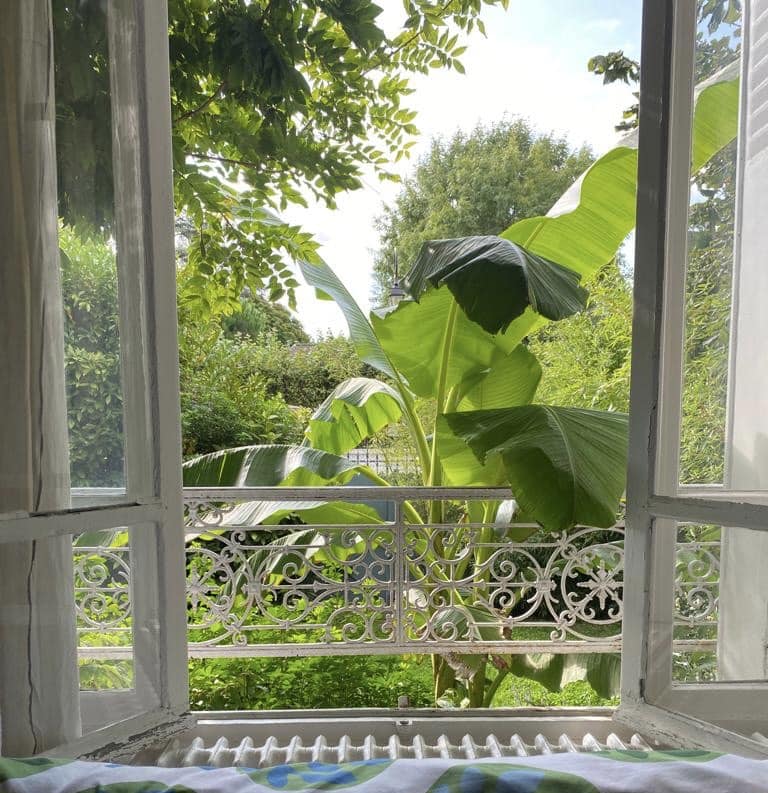 Vue depuis une fenêtre ouverte sur un jardin luxuriant dominé par un grand bananier, avec une rambarde blanche ornementée et un radiateur au premier plan.